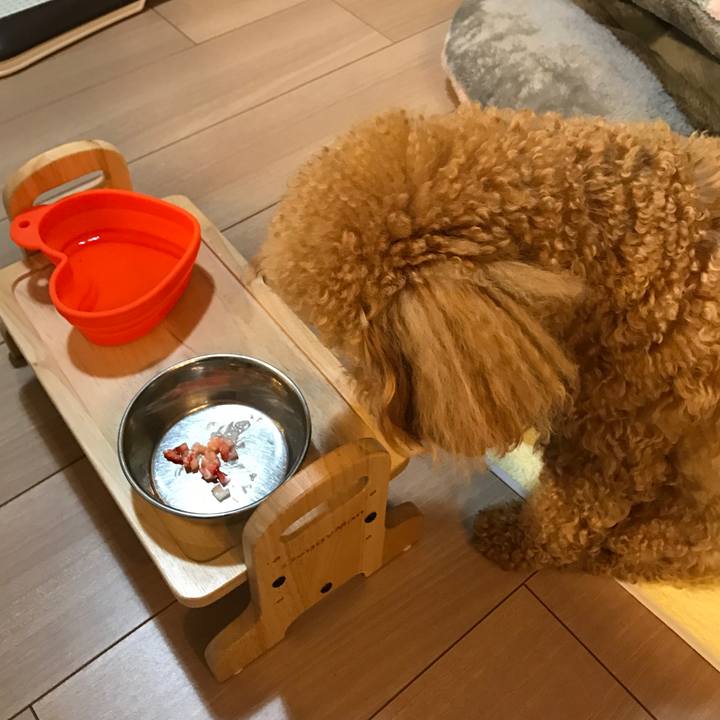 11d672ad 5534 412b bf65 ea3e7dd2386e