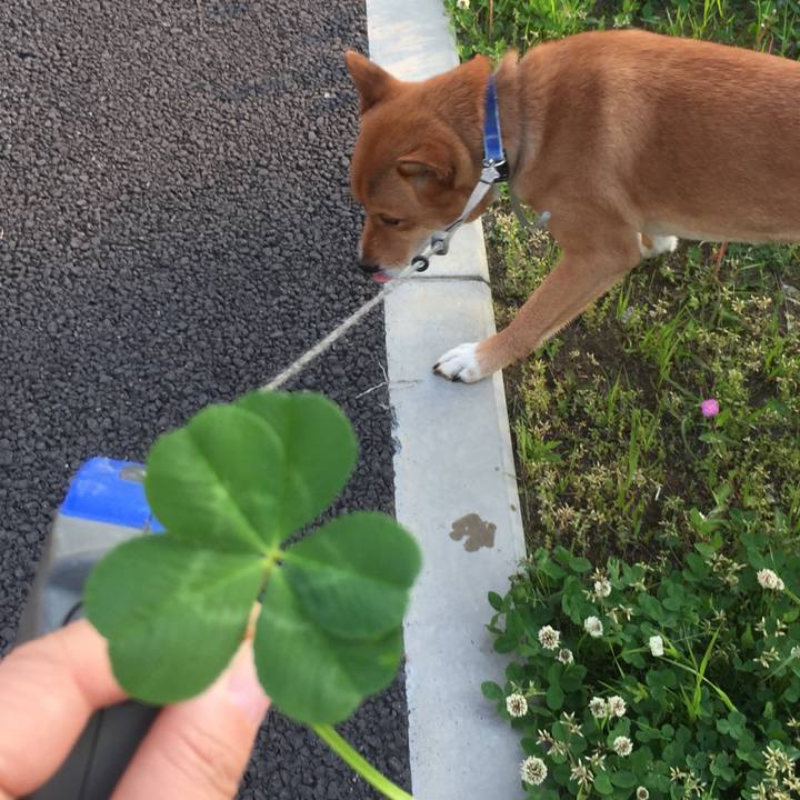 11d6d1e8 4e80 48a1 b21d 0af17b1e8bac