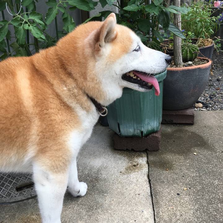 11d74bba 0cf3 4a90 b5a3 e84eef1e99a9