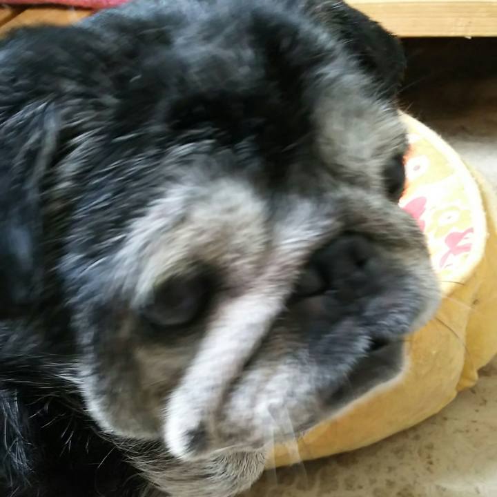 11d74f9c ffac 400e af09 cfa8cf0e6118