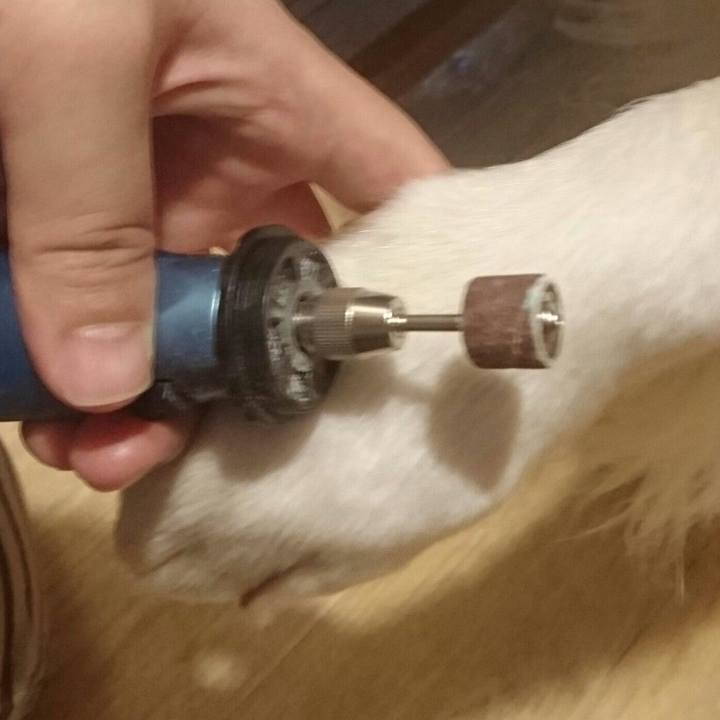 11d7dcc6 51c8 45a4 8014 30dae9fc00cf