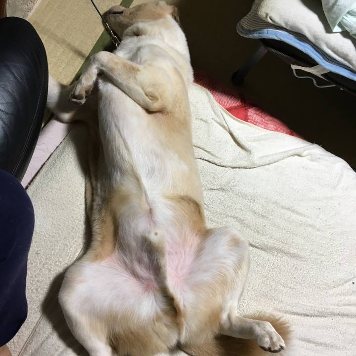 11d8e0af 3efc 4554 a5fc 122b225e8f6d