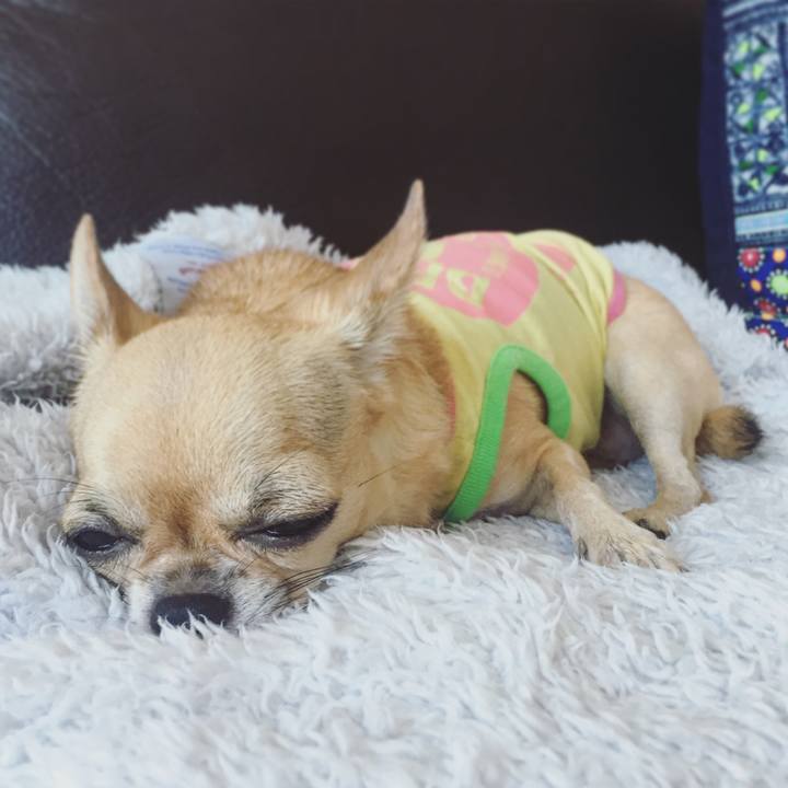 11d929f2 c3fa 4b61 b2f1 15e108bac976