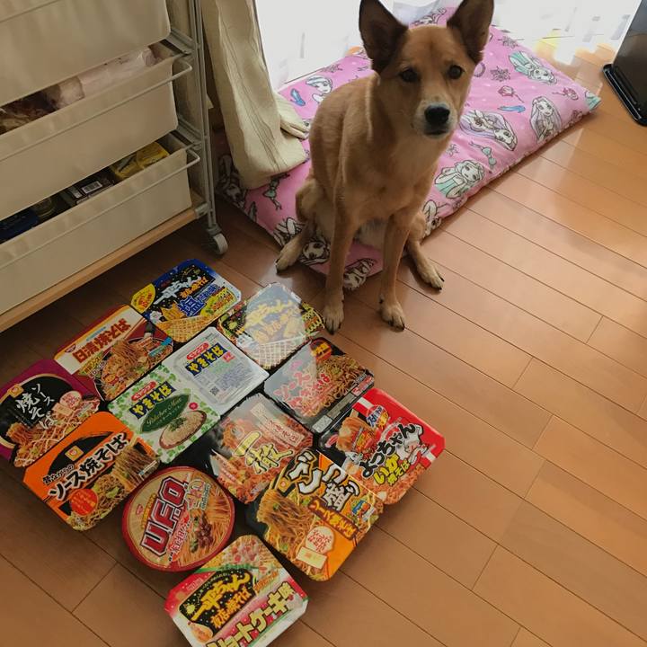 11d9ae01 25d8 4940 81e4 5e5d130f56d7