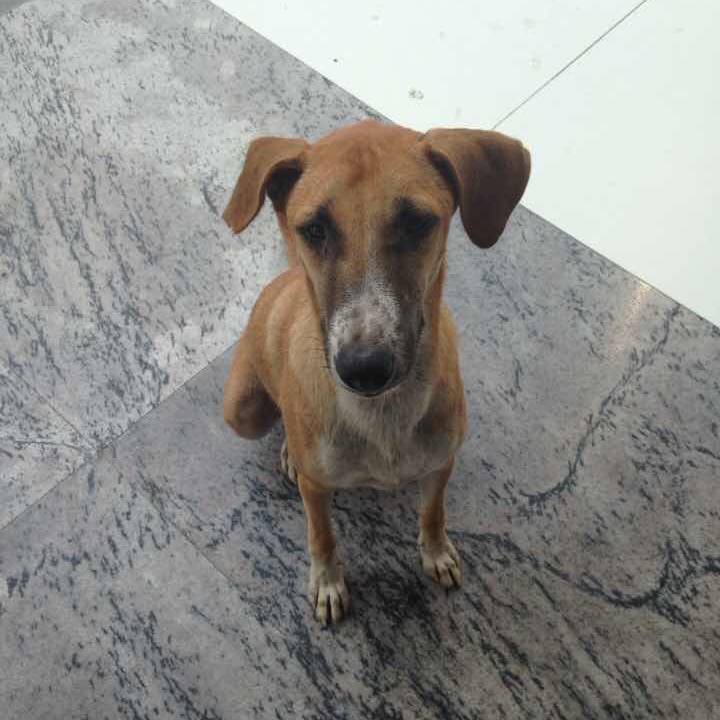 11d9b8d4 2439 476c ac32 bf690f6e01ac