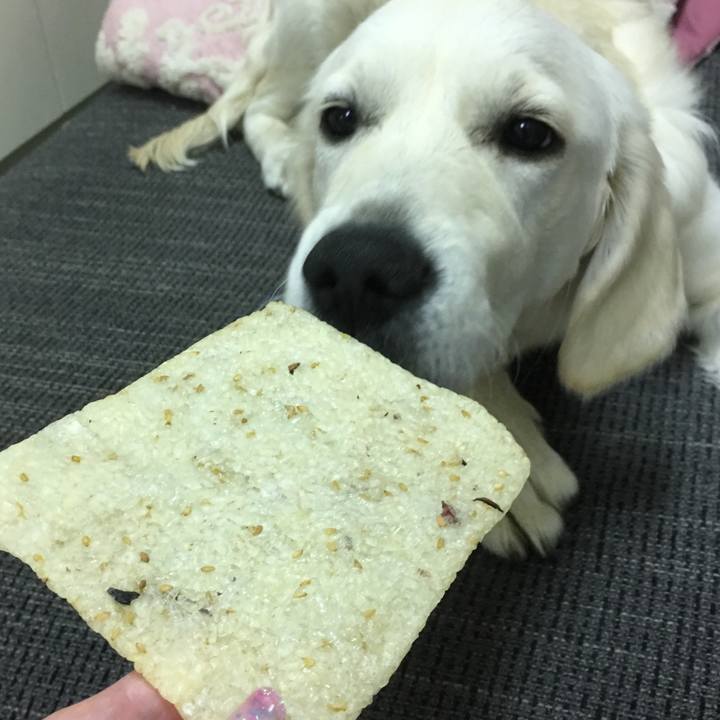 11da0baa 2133 4419 89fb f632fcdd81a1