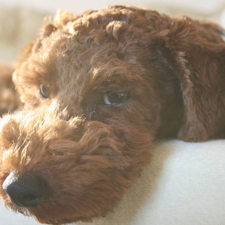 11da63fe 741f 43e2 b8b3 c60f3b39c84e