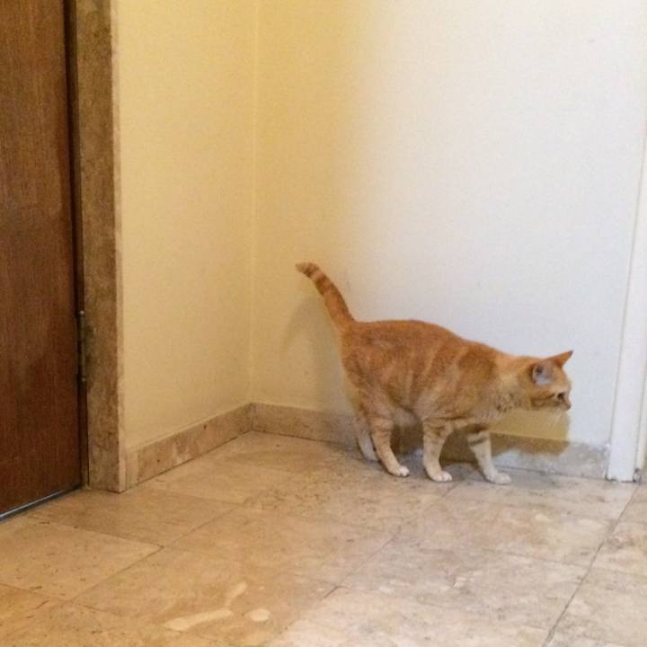 11da7fb2 c297 4b26 8a9a 7afadfbe29d5