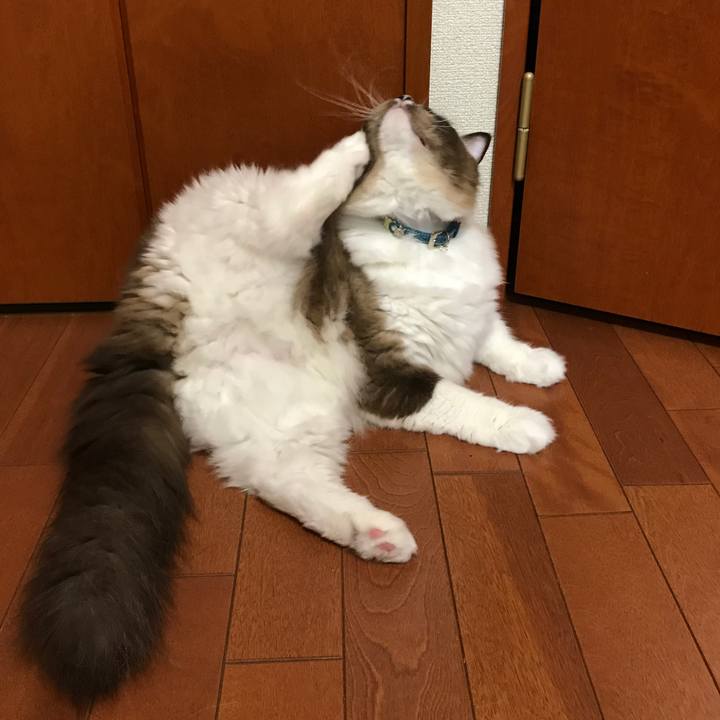 11da9425 4a3c 464b b177 6ec9db4c904c