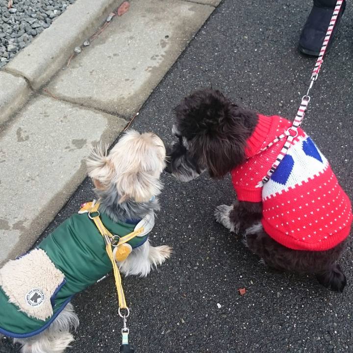 11dac0cc d82b 4fde b26a 640682ca0b78