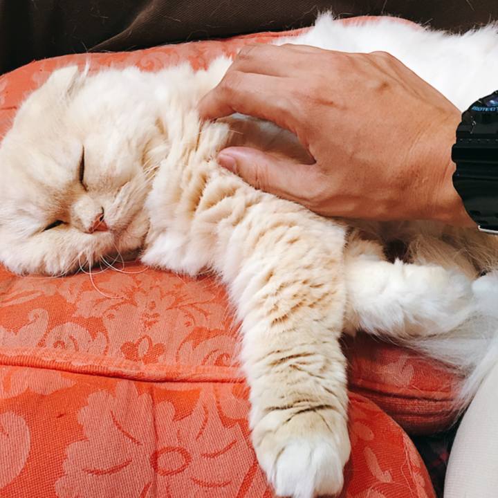 11db08de ee75 4876 9890 ef46f9877aca