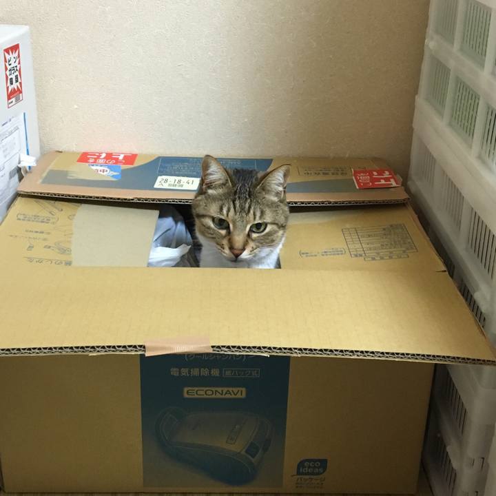 11db16d6 f90c 48c6 ae18 1648c41d3346