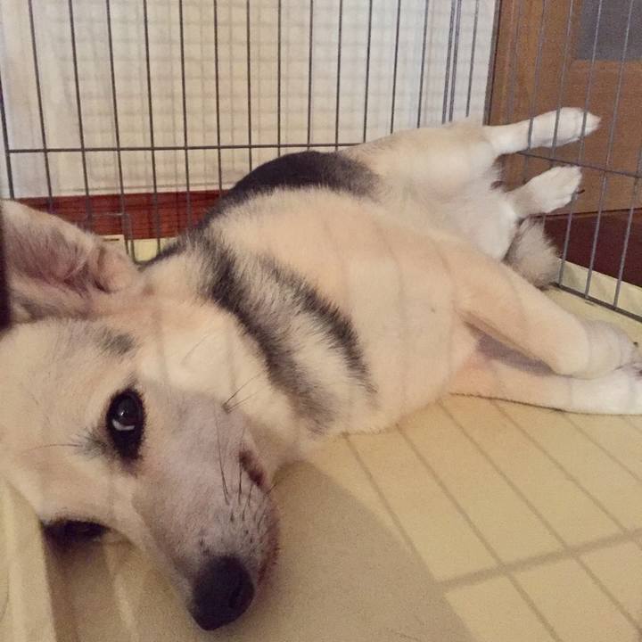 11dbc768 ac63 4e19 bf9e 048170426f9b