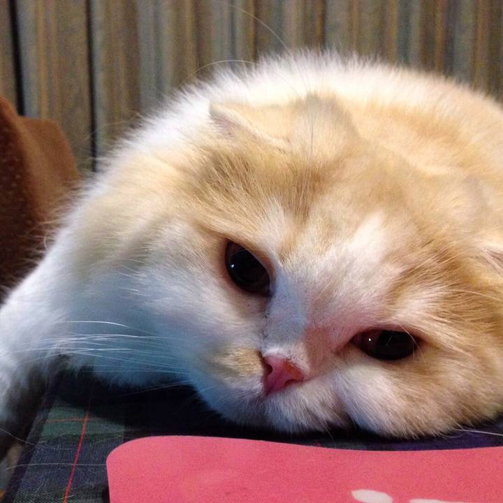 11dbd3b6 52e4 4055 bb39 0570c22f3be1