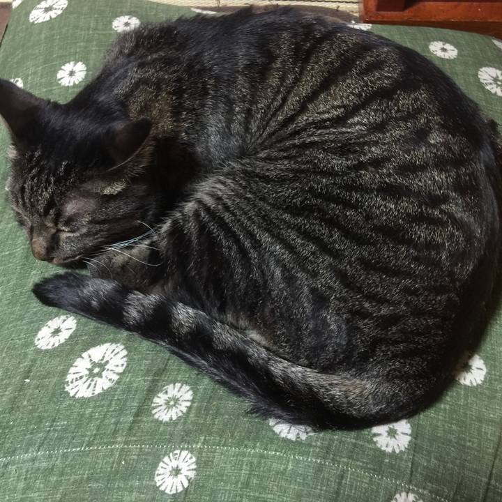 11dd77b1 0664 4d87 a640 918171205459