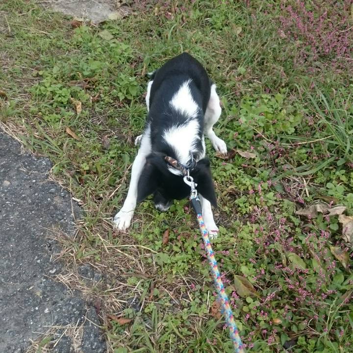 11de1d3f 1c67 434c a35a 1caec906dd7f