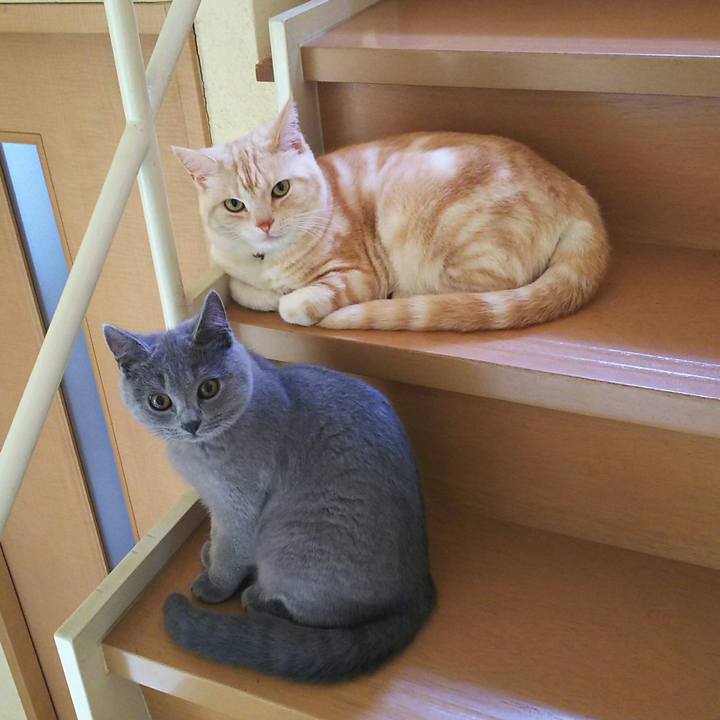 11de2022 54ab 4f7c ad91 527330a68b7e