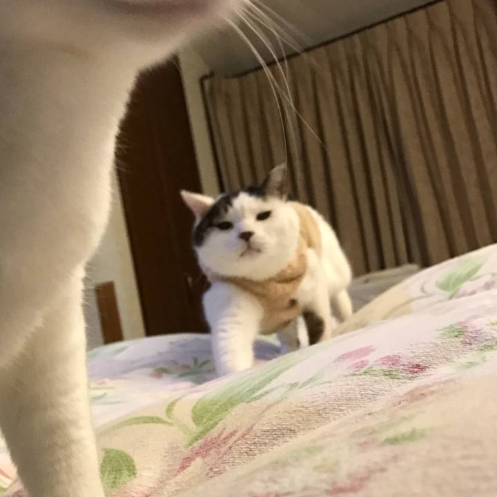 11debdb8 25b4 4244 b045 5ef35c46133f