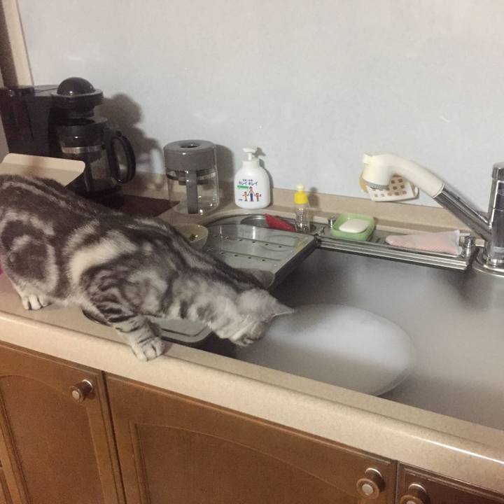 11df235a 32f3 4ba1 8b14 b001cb240bf6