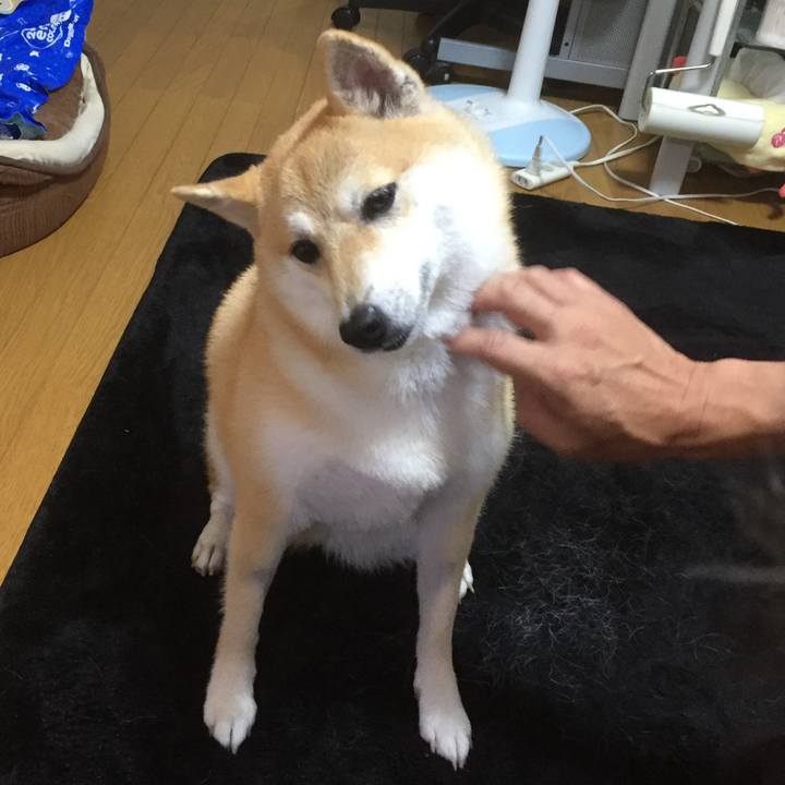 11dfcb6b 1b6d 42c8 adca c9a9096b6636