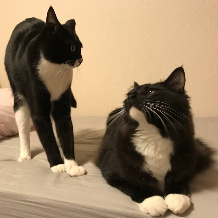 11e0ab7d 77db 430c 945e dd39a2ef8a06