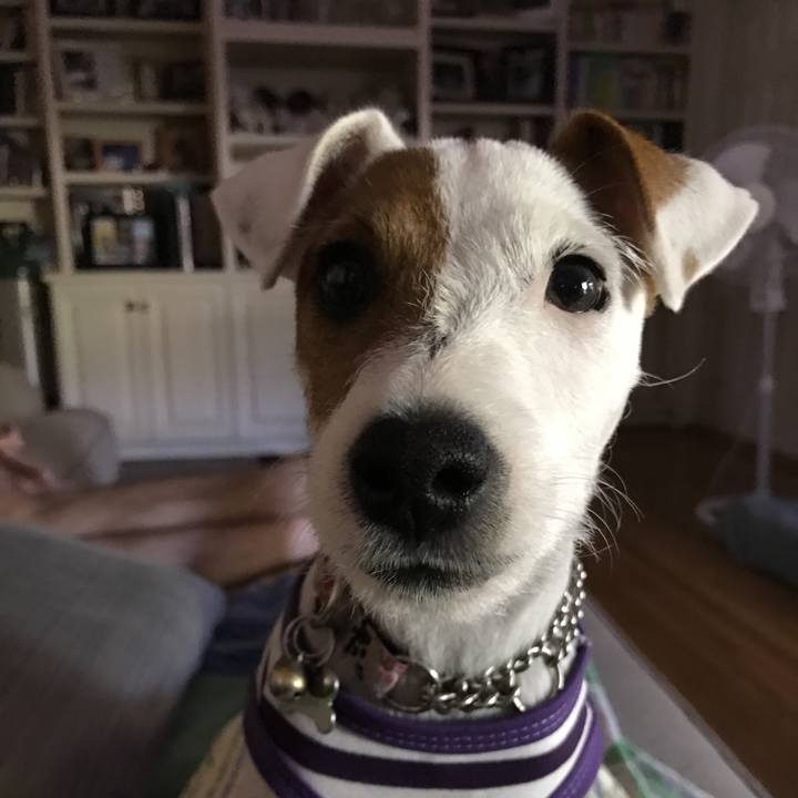 11e0bb57 930f 4ced 9809 9b7a56cac2b9