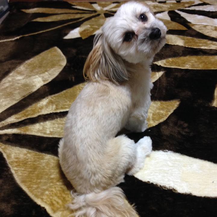 11e1a00c 1318 4547 9841 c17b8c501916