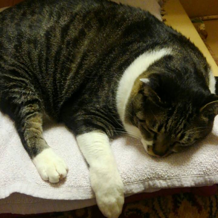 11e1f658 6380 4a3e b3f9 f27328a6e7c1