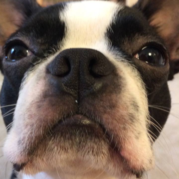 11e24613 4d57 47b2 a180 a06be792bb91