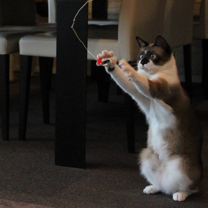 11e36f01 0653 4ecd bd93 0798c50130fd