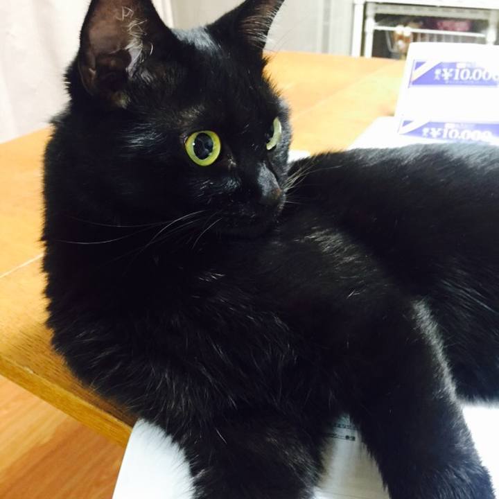 11e3a22e bbd1 478f a86e 37d18dc34106