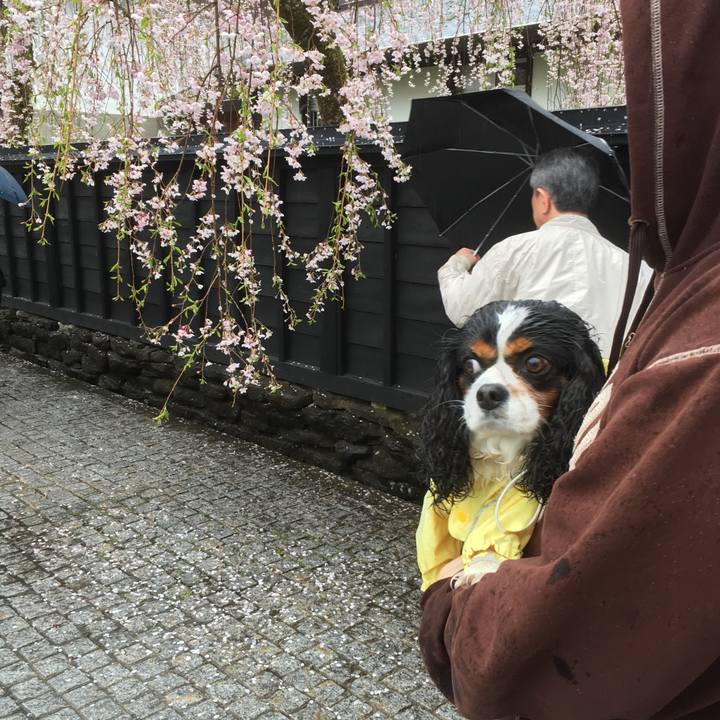 11e3b102 3ab6 46f9 8f23 78becbfafccd