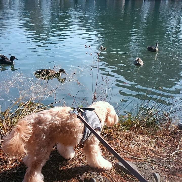 11e3d3d6 d8e8 4622 ade4 128f161ddb0e