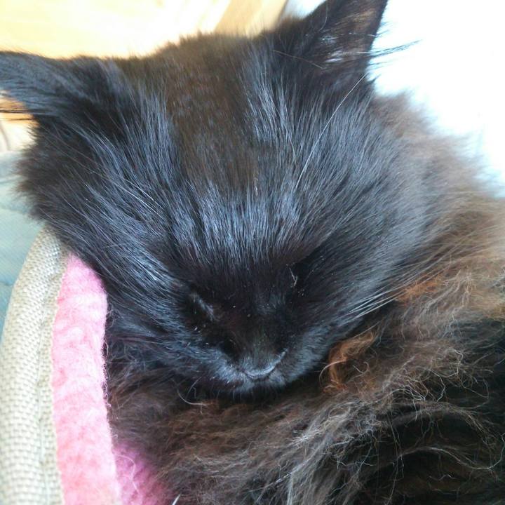 11e46f5a 8479 402c 8b7e 492178e7dd77