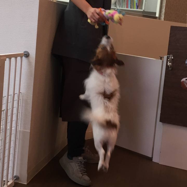 11e4ea20 527d 46d7 9a78 b157d84b2a57