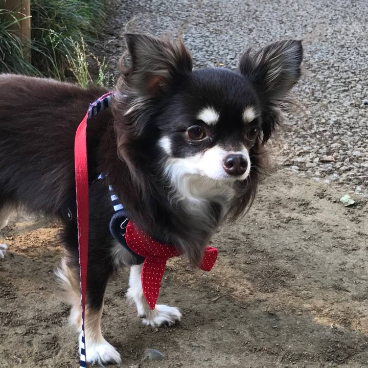 11e59073 e599 421e 9d86 91a3af4d38b2