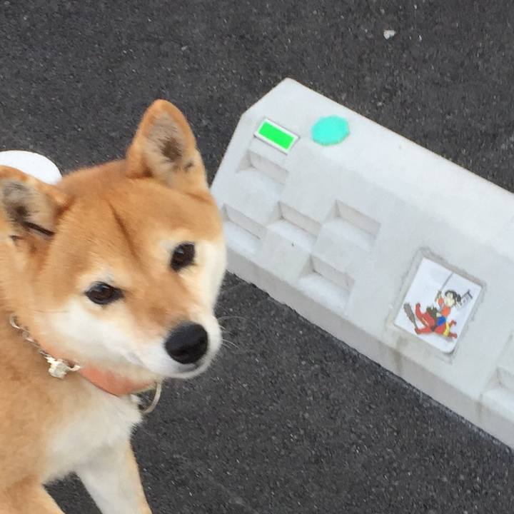 11e62746 d3bf 4923 896b e26da2592acf