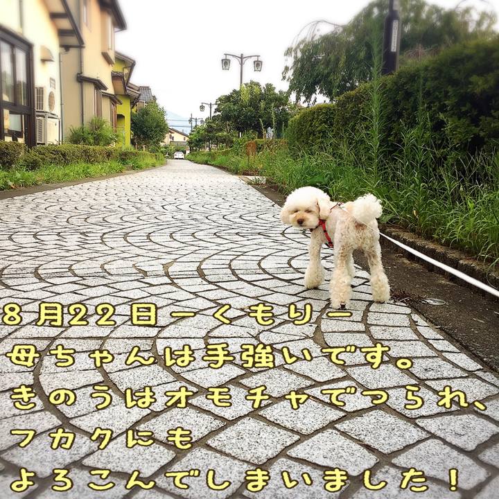 11e6430c e78f 4fac 9d28 4da699815822