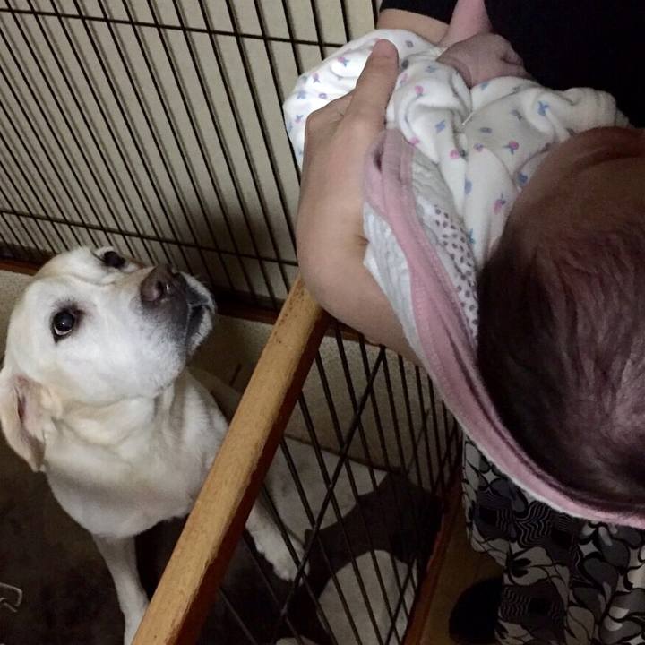 11e709ed 67c3 4a82 8ac8 2d4c09de1d24