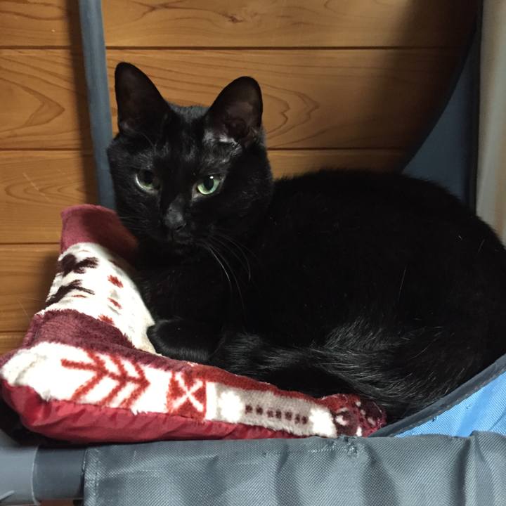 11e741a3 4334 41dd 8cf8 d87d3c0f17ae