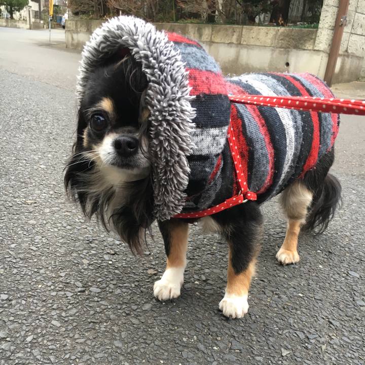 11e827fd 2326 44a0 9112 6d2b37ec4c2a