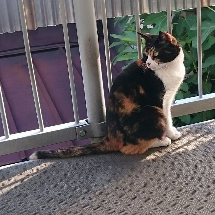 11e875f2 25ab 4773 a1dd 8cdad0216b62