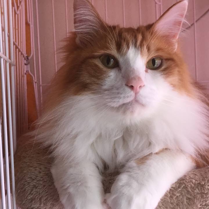 11e91a1c fb26 4e94 b250 3e524d4315cd