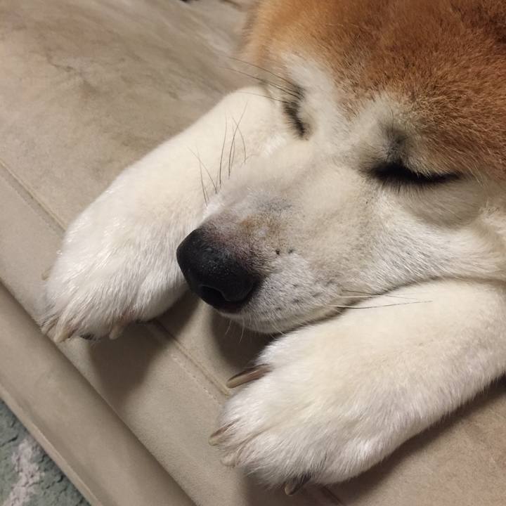 11e960ce 1e38 4084 969f a2333e0b6e3f