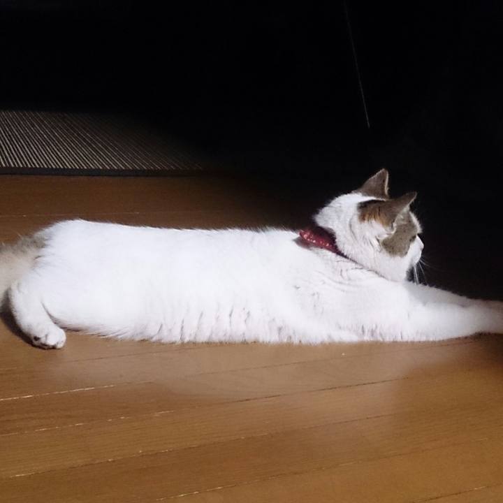 11e973bc 99dc 4a7d 8b58 60f1a710ac4d