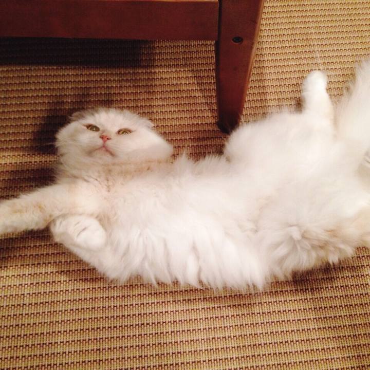 11e97a2e eb35 4676 8340 ed62e32133d0