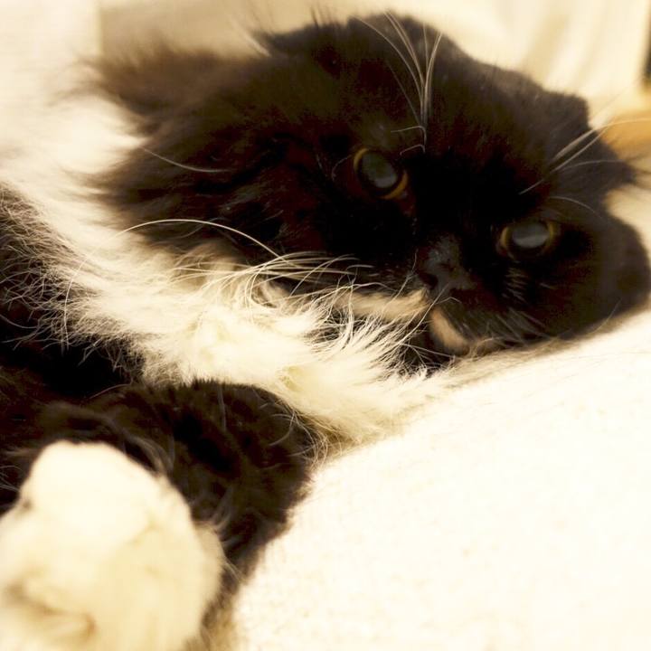 11e9e6c5 3596 4768 9412 2cea5494bc5f