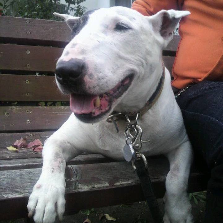 11ea13a4 7f91 4cdb 9e78 7fcb6d1edc2d