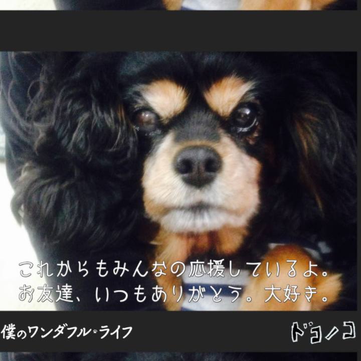 11eae649 4d98 4ce9 a794 d3f9e96b0404