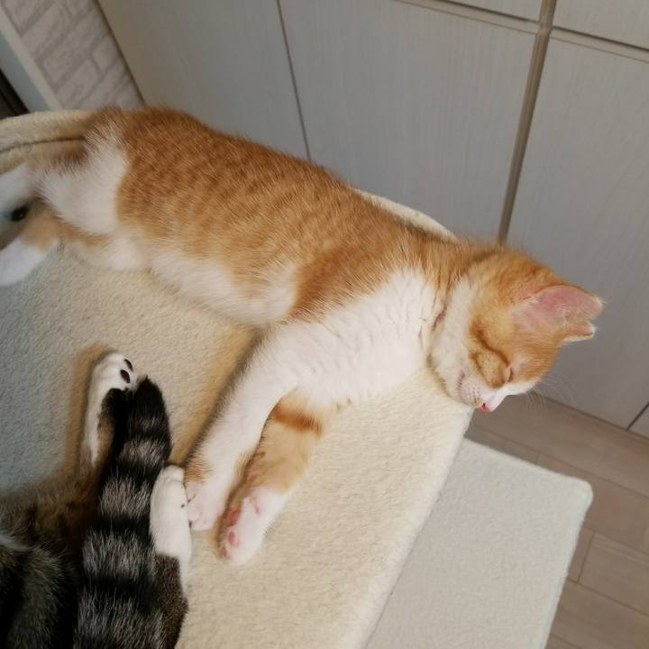 11ebf228 6a99 40b3 9c79 d5aeaefb2a9f